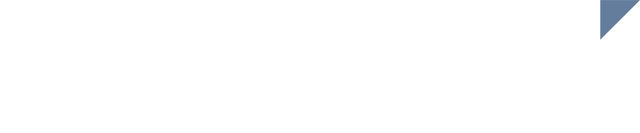 Your Logo